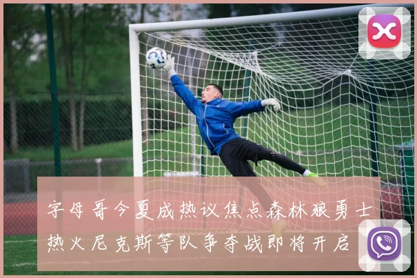 字母哥今夏成热议焦点森林狼勇士热火尼克斯等队争夺战即将开启